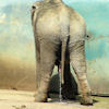 2010-04-21 Petit pissou_l.jpg